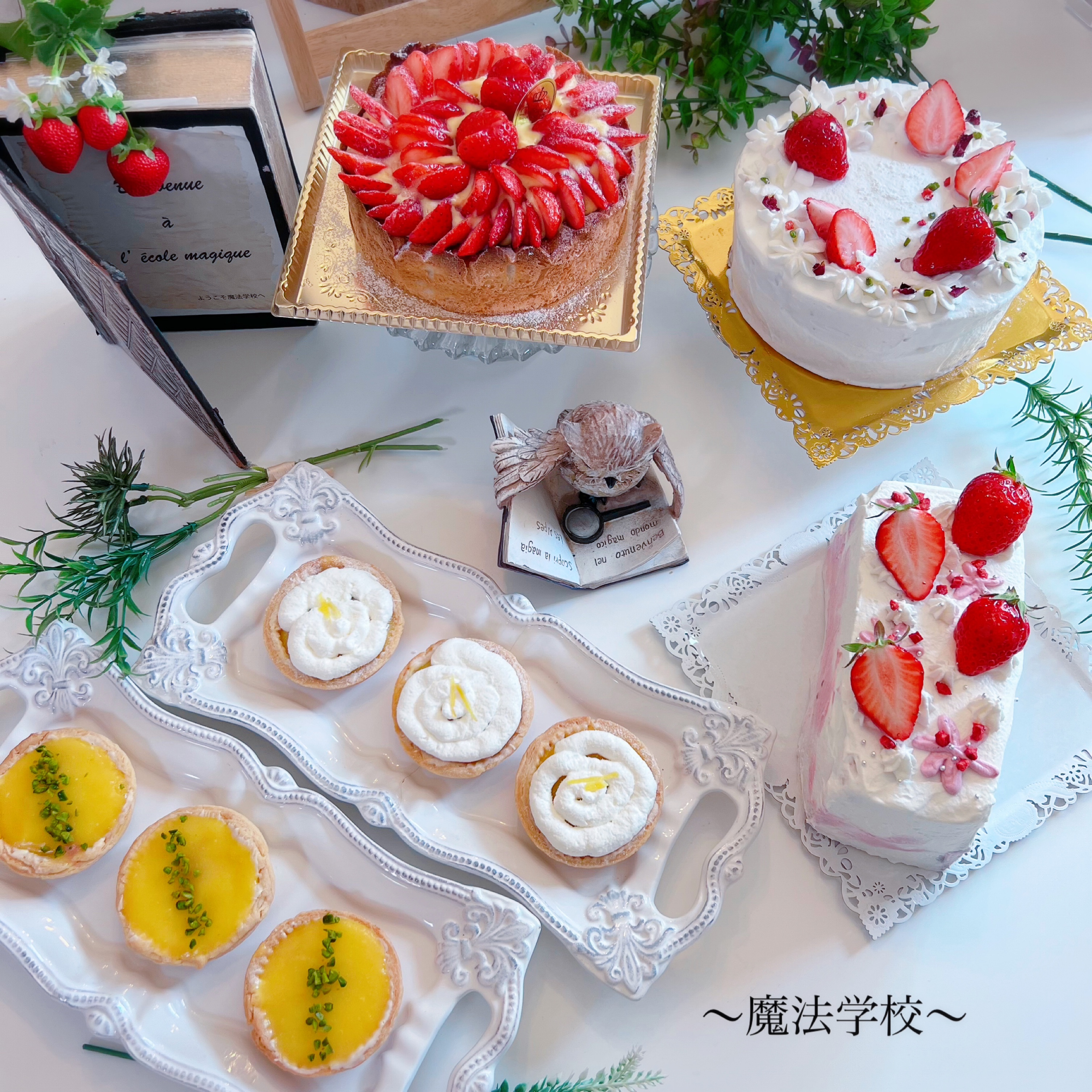3月魔法学校～フランボワーズ組～