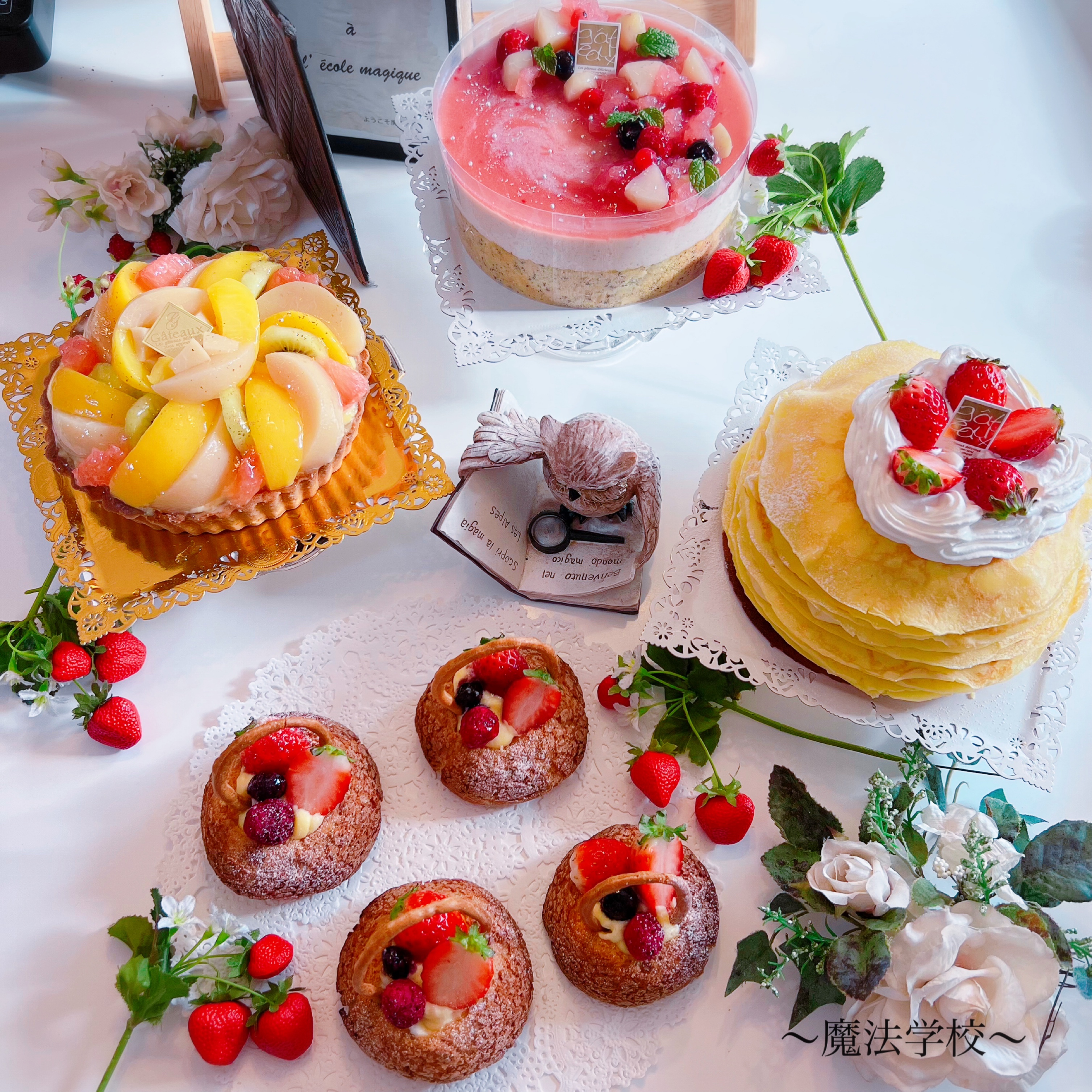 2025年!魔法学校スタートいたしました- ̗̀ 🎂 ̖́-