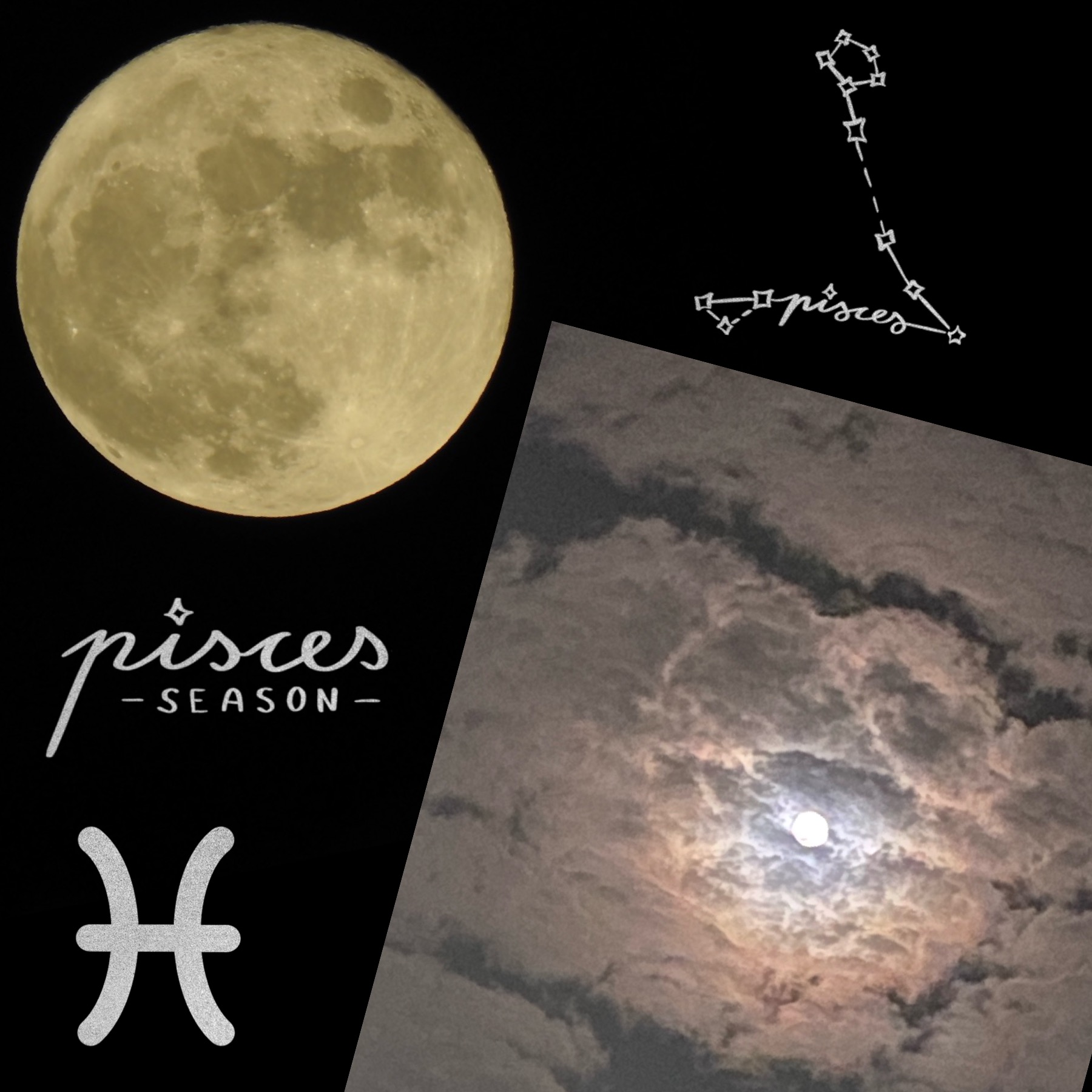 【十五夜】～8年振りの満月～