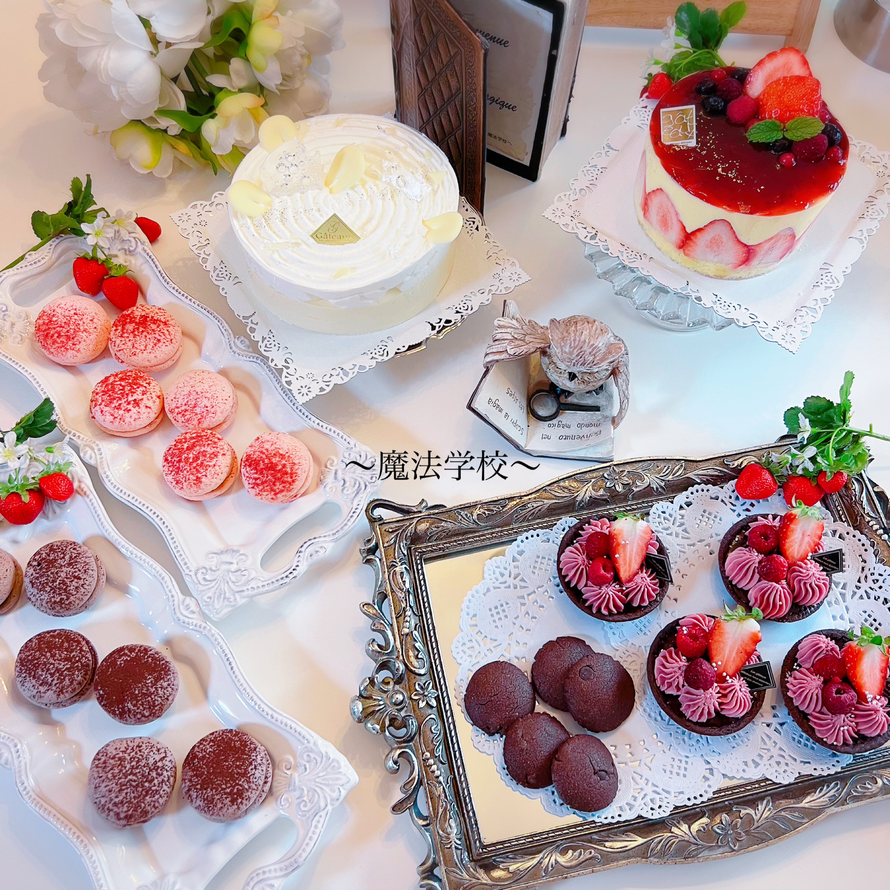 魔法学校~スリーズ組~🍒´-