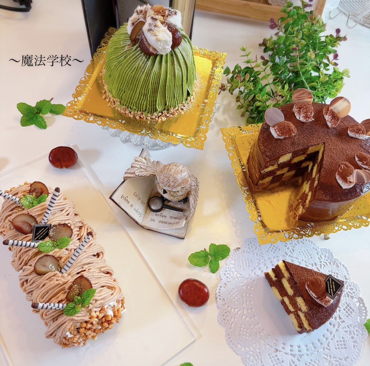 目の前にくる出来事はいつでもベストで幸運☺️💖