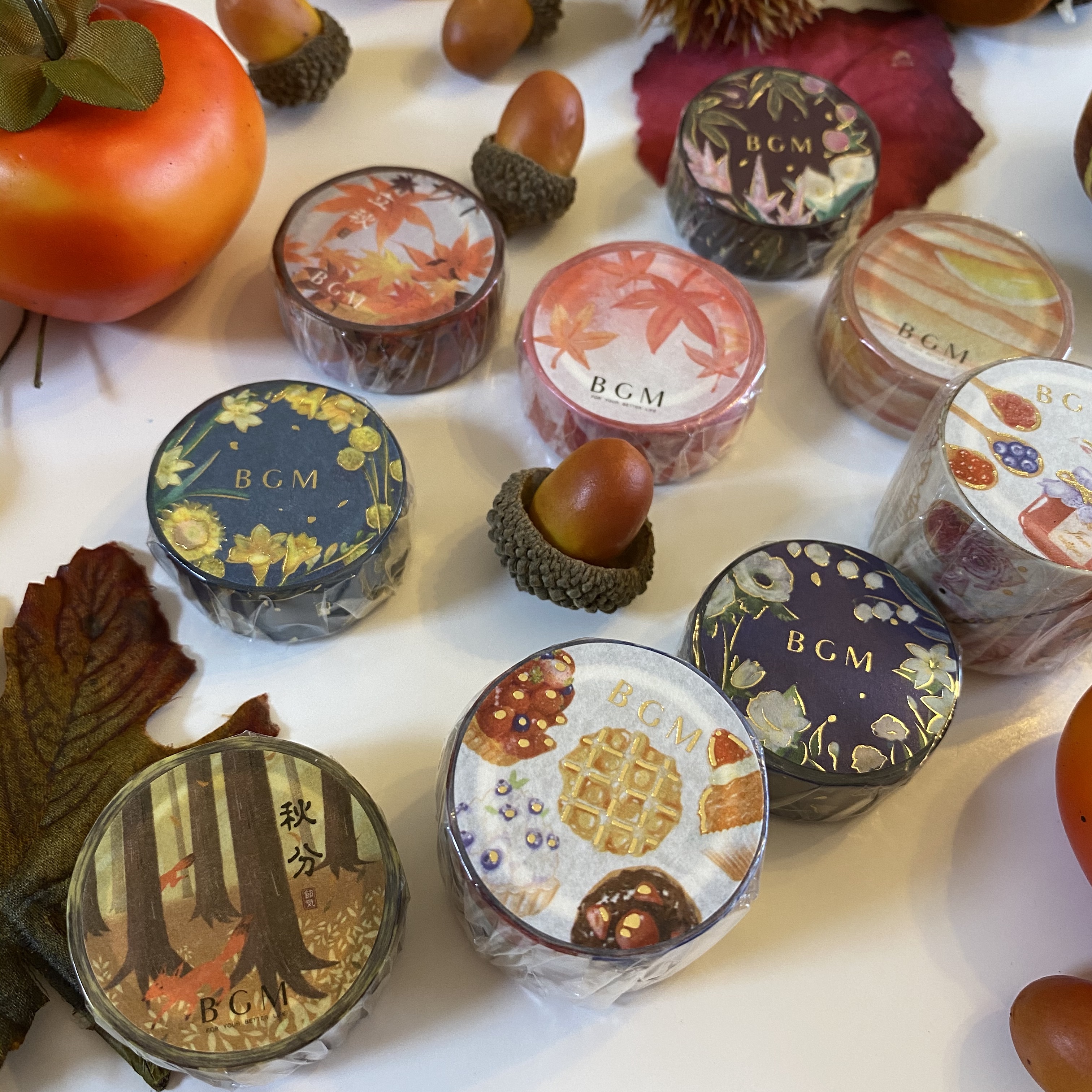 本日は秋分の日🍂🍁🌾🍄