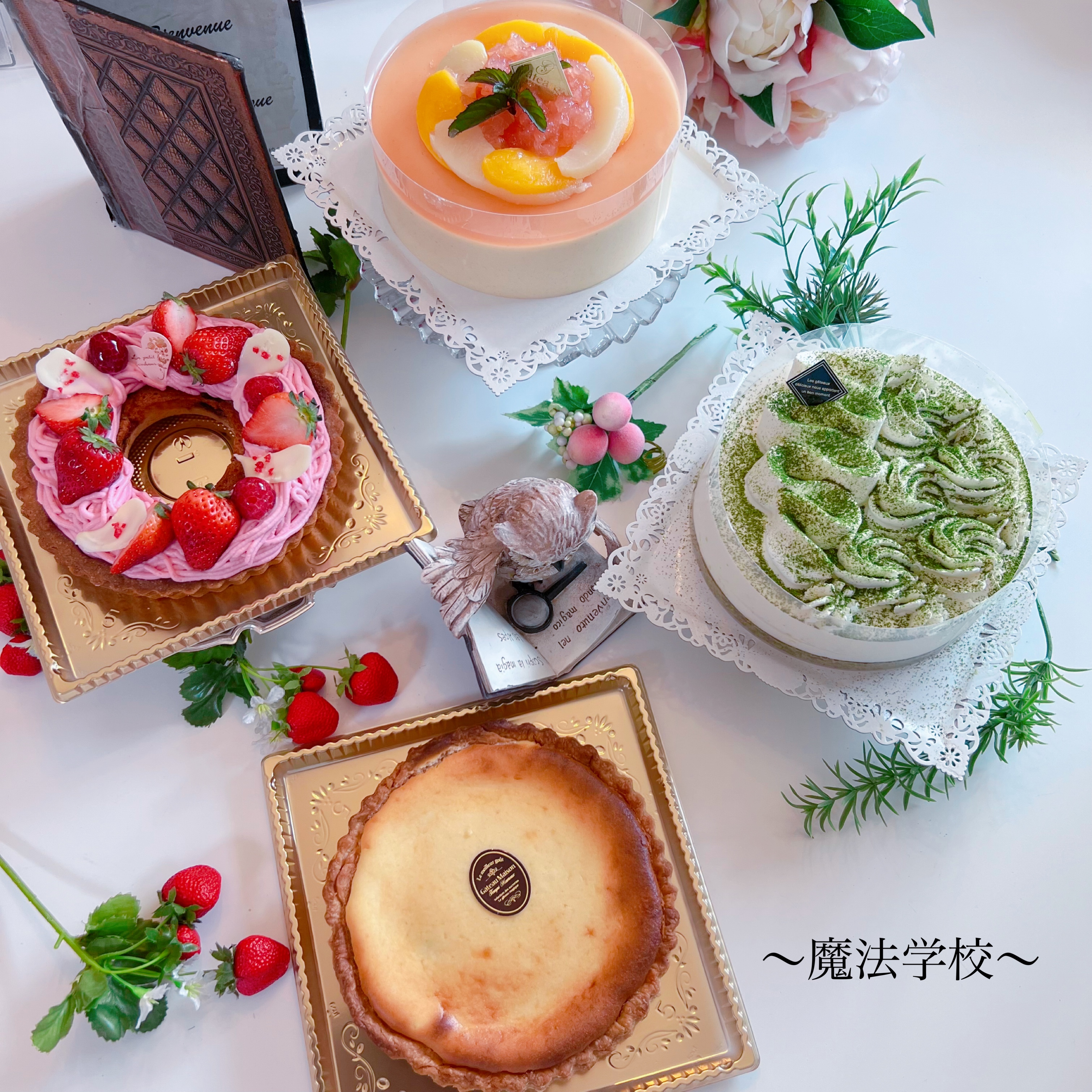 魔法学校～フランボワーズ組から5月スタート🍰🫖