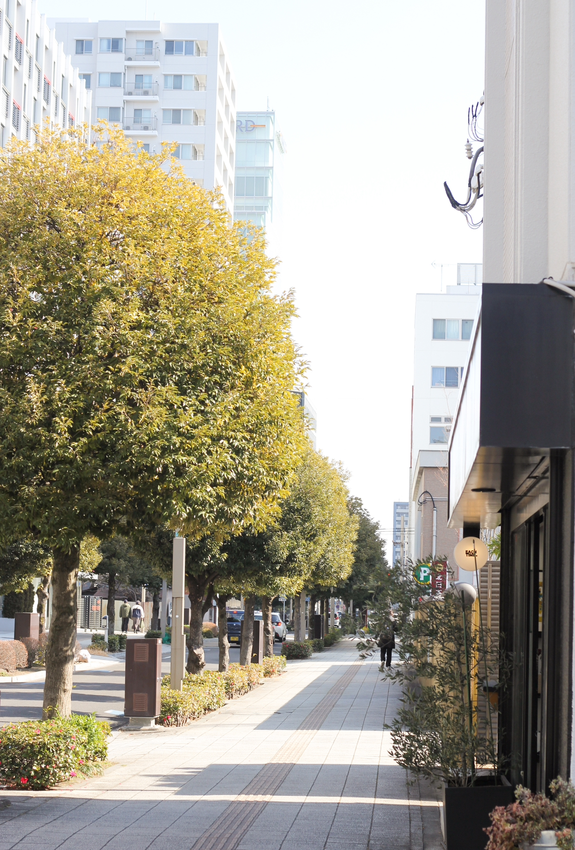 二日町の、静けさ。