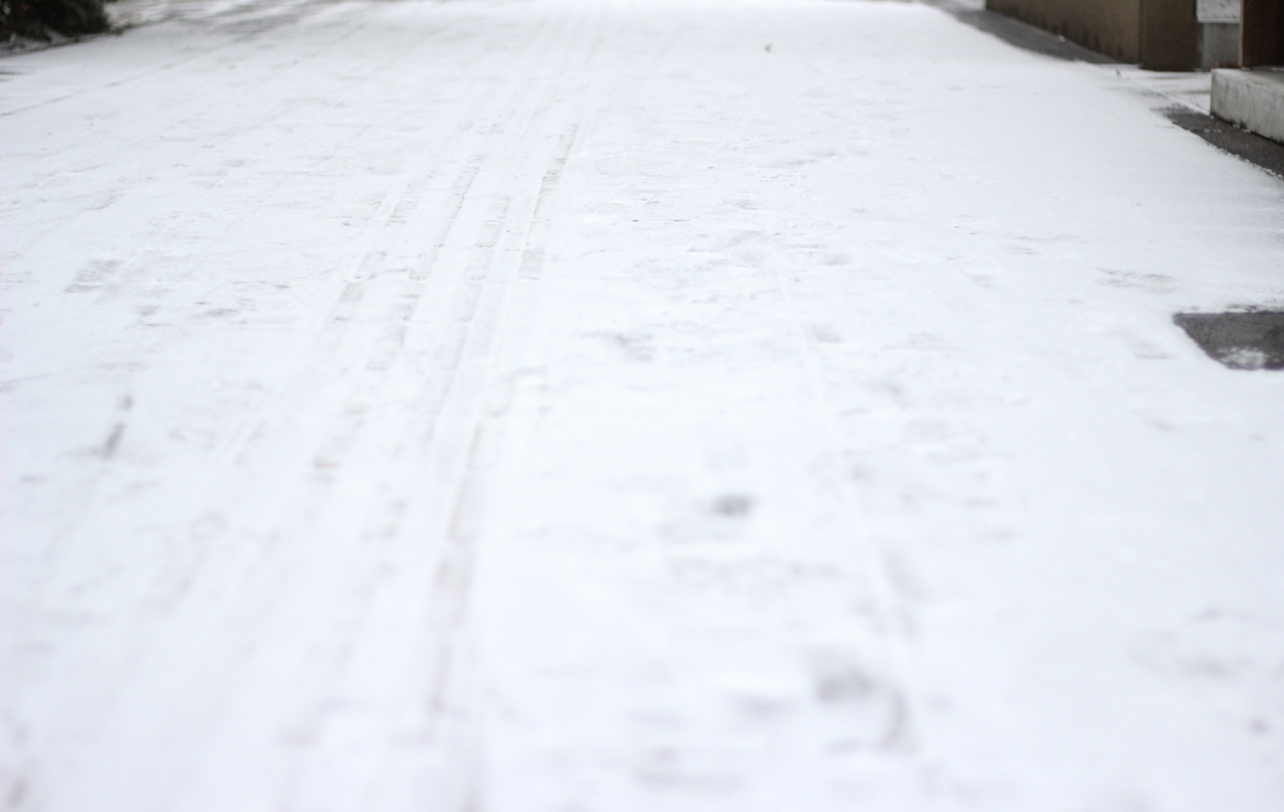 さらっと積もりました。