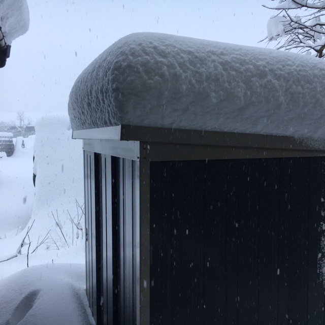 大変です！大雪‼