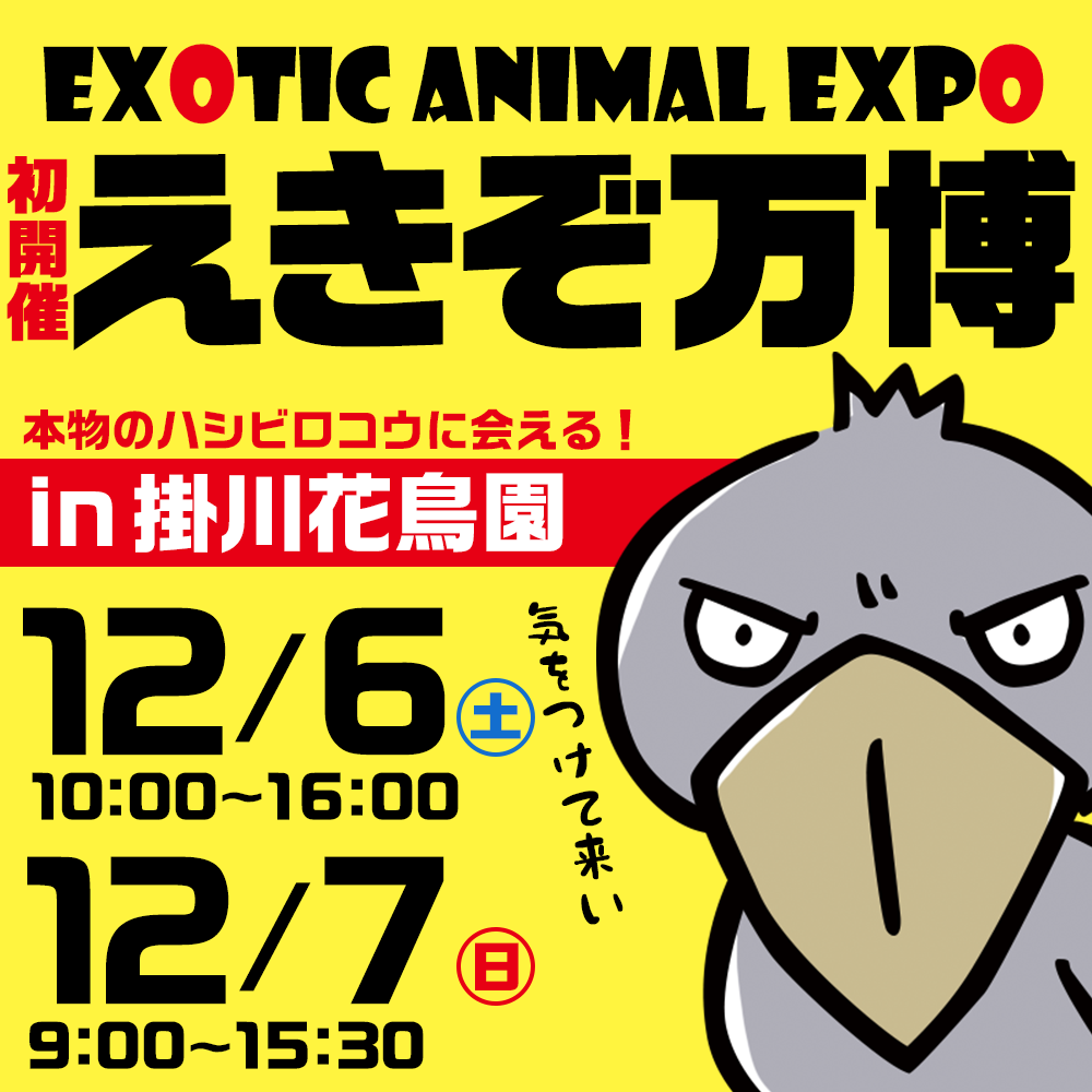 【12/6(土)・12/7(日)開催】えきぞ万博に出店します！