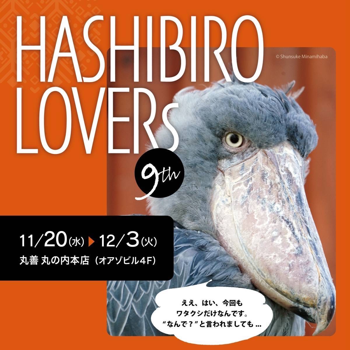 【出店情報：11/20～12/3まで】丸善 丸の内本店にて「ハシビロラバーズ」出店のお知らせ