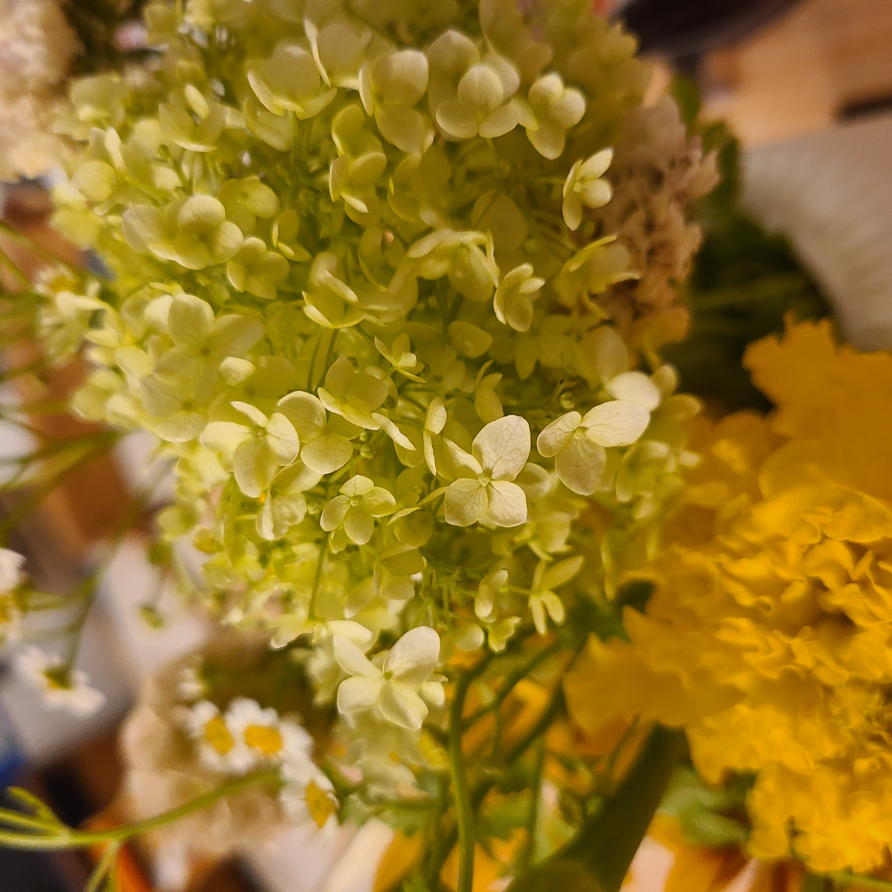 香りと記憶――五感でたどる、やさしい時間