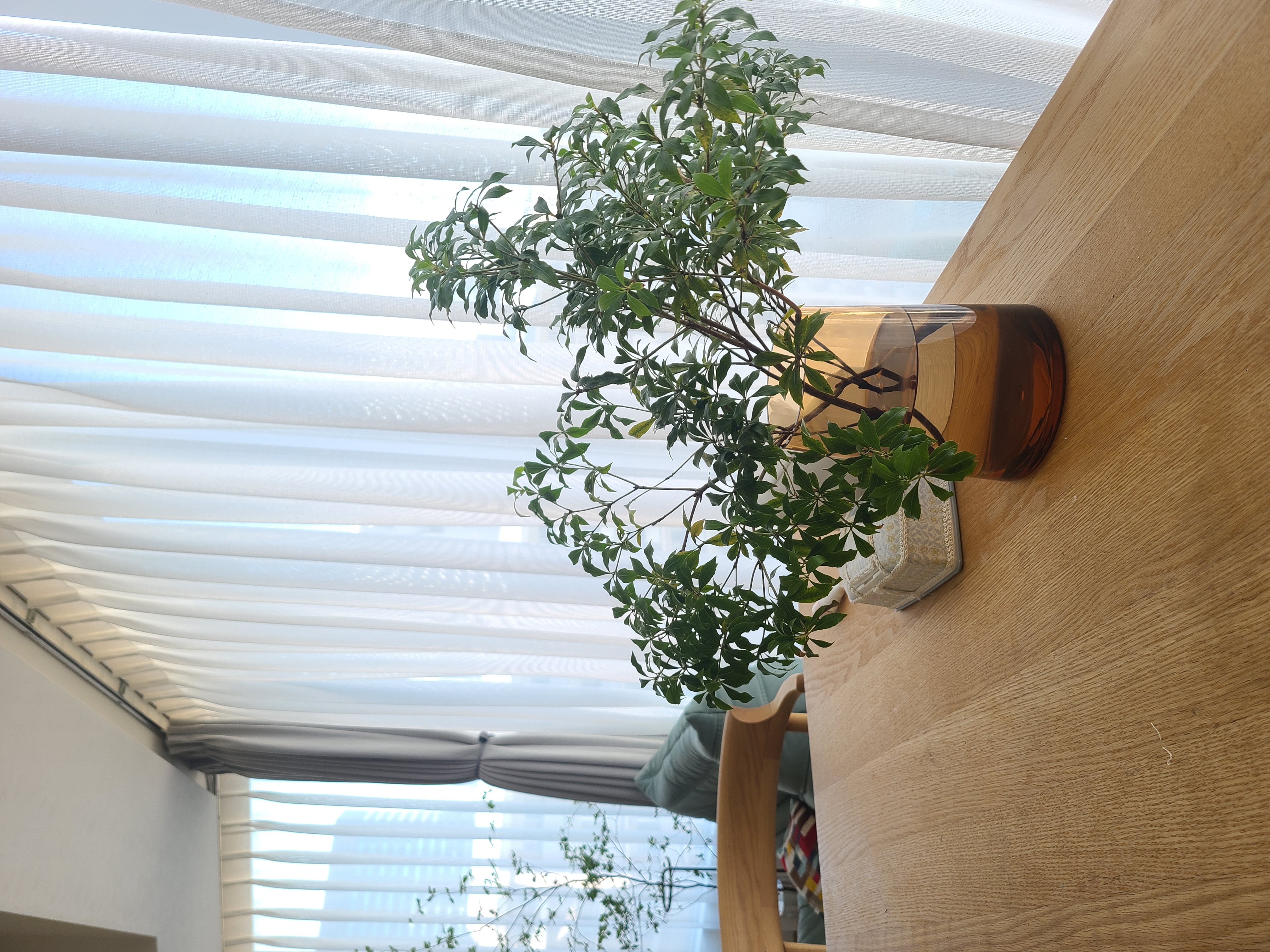 一日の終わりに花を飾る