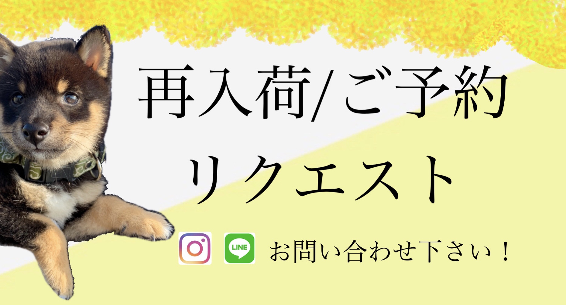 ＿＿PRE ORDER＿＿