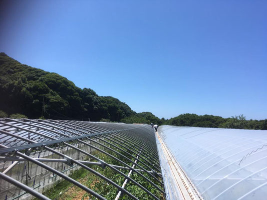 2017/07/16　ビニール張り替え