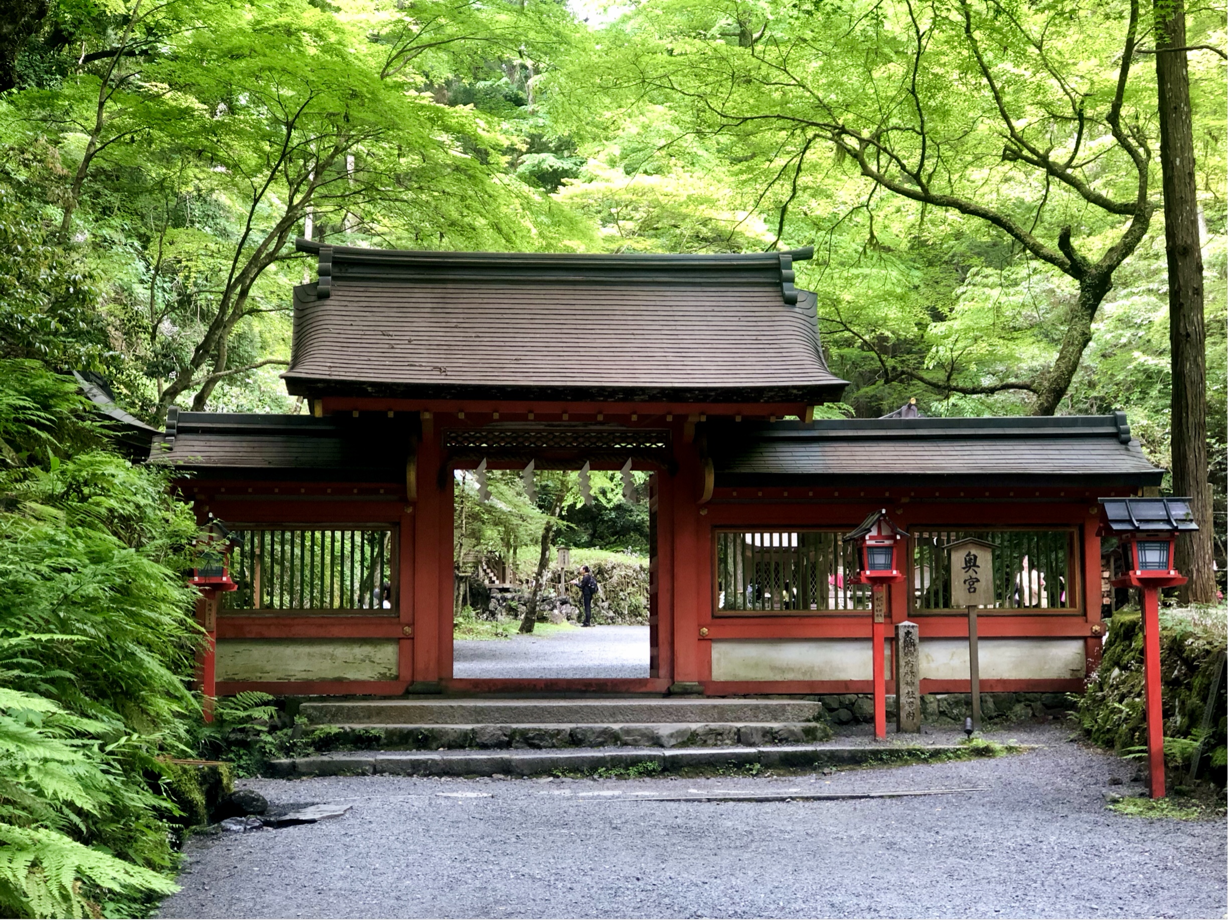 新緑に癒される京都旅　２日目✨