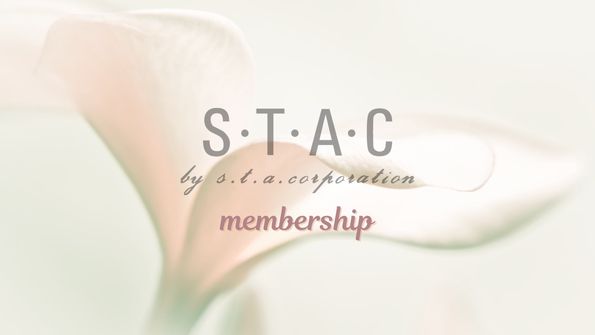 STACメンバーシップ入会方法、ポイント取得、使用方法のご紹介