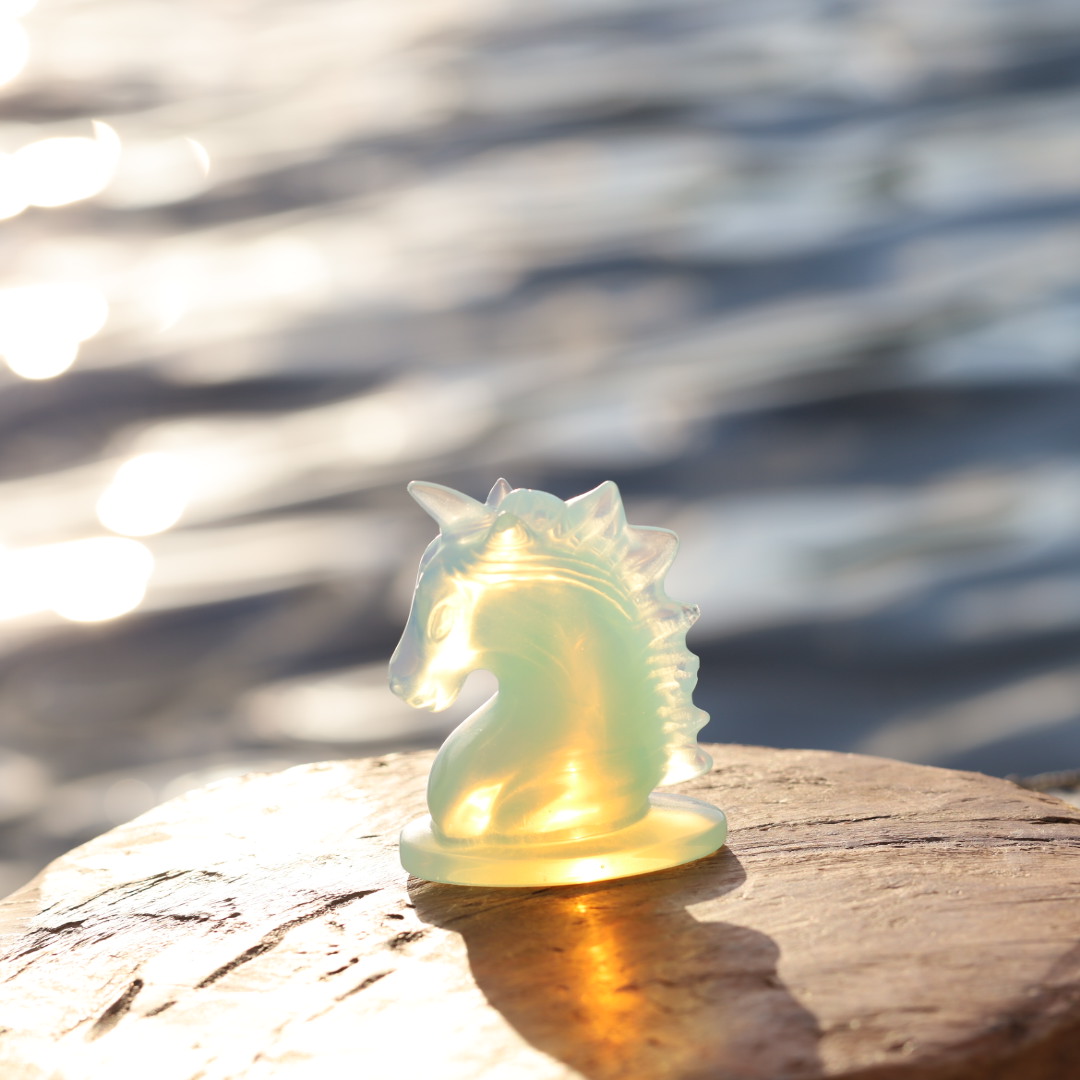 丙午はじまりの新月　送料無料キャンペーンのお知らせ