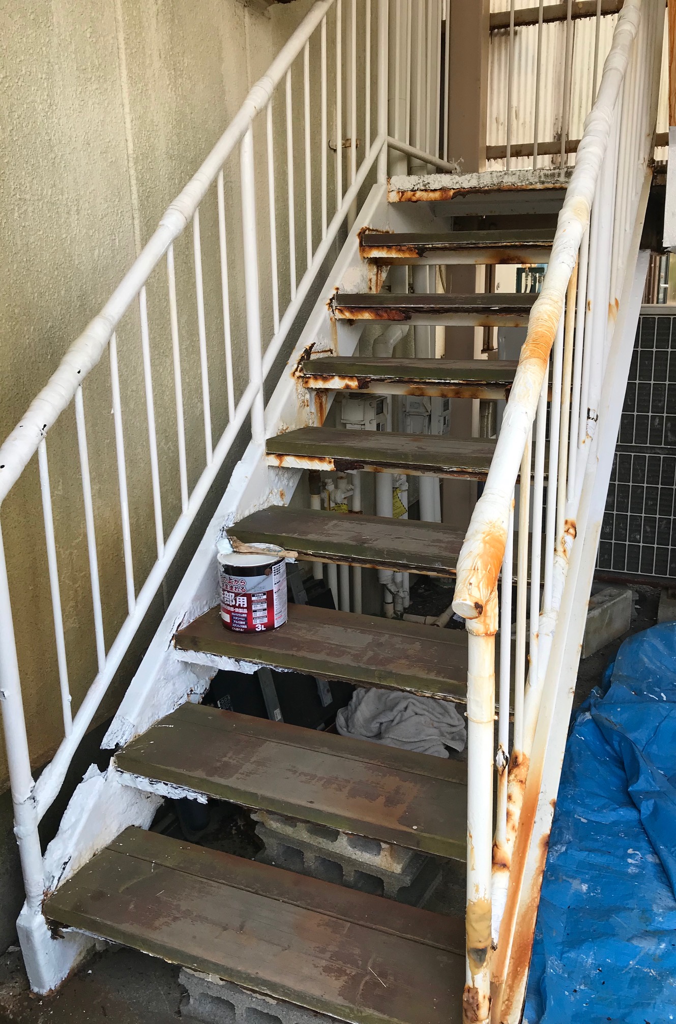 夏を感じる陽気!