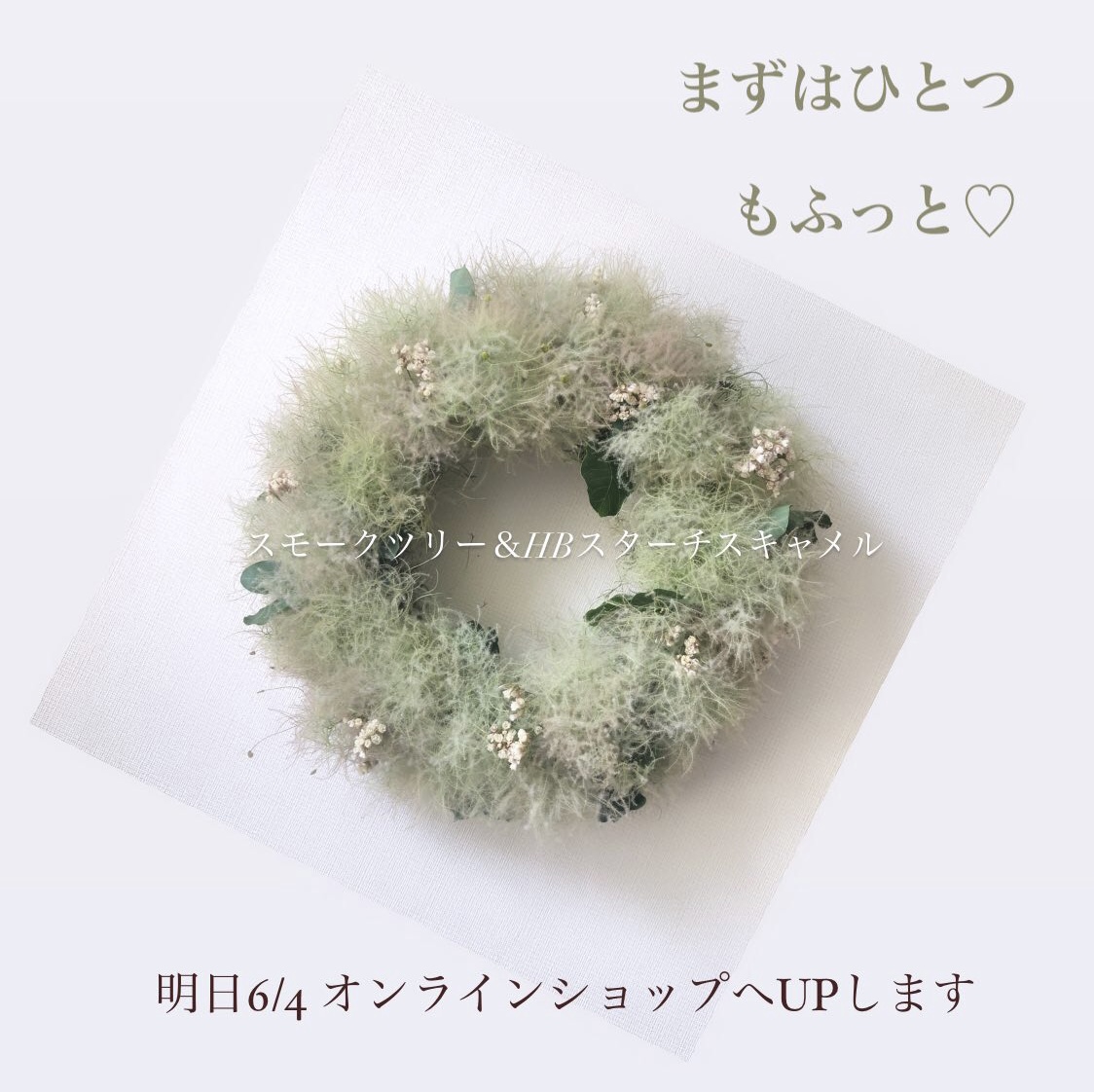 初夏の花 スモークツリー