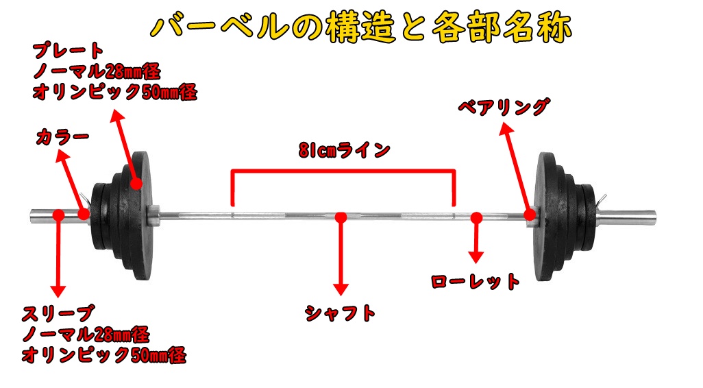 特別オファー オリンピックシャフト 記す 【パワーラック使用可】 10kg ウエイトトレーニング