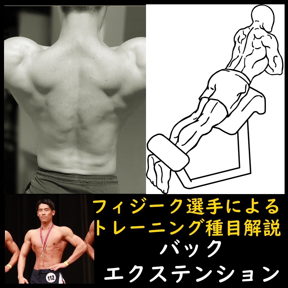 背中にクリスマスツリーを刻む脊柱起立筋の種目「バックエクステンション」のやり方をフィジーク選手が解説