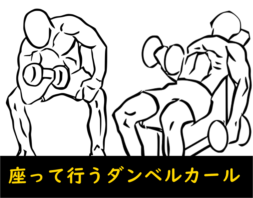 座って行うダンベルカール2種｜コンセントレーションカールとインクラインカールのやり方