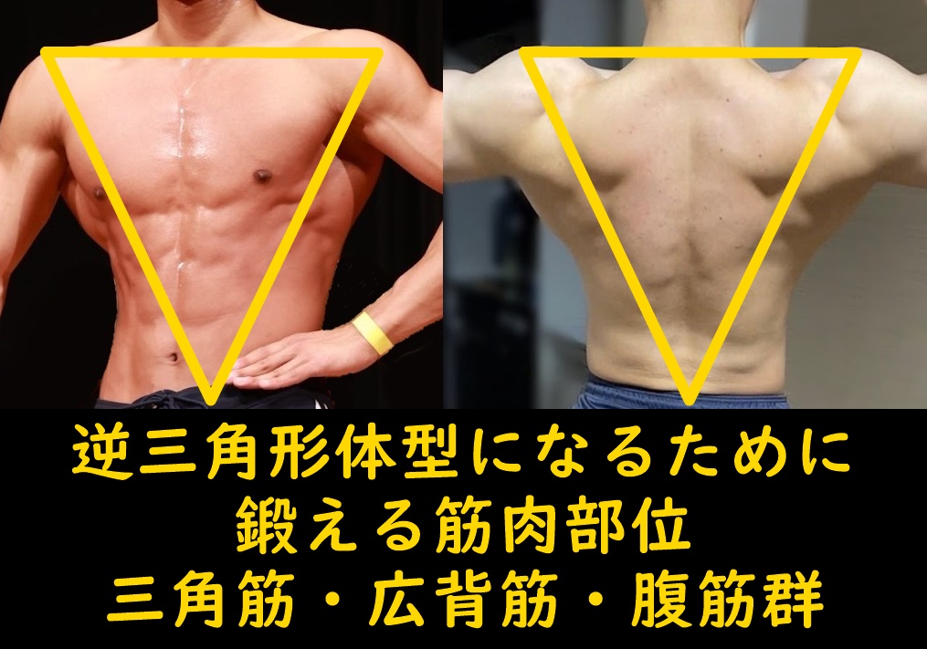 細マッチョ体型＝逆三角形になる筋トレメニュー｜背中・肩・腹の鍛え方と負荷設定をフィージーク選手が解説