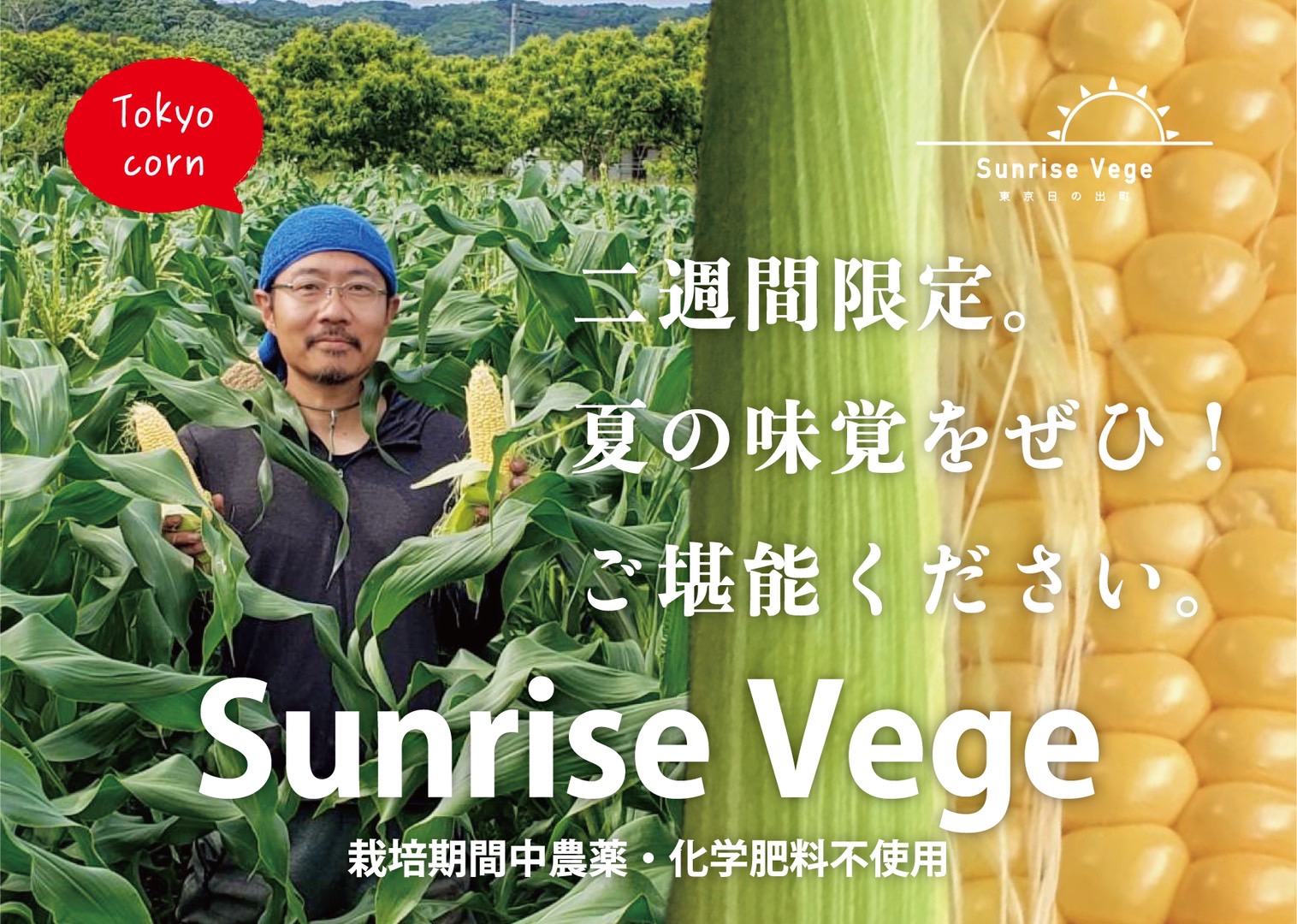 神楽坂野菜計画オススメ「今旬の野菜」Part３