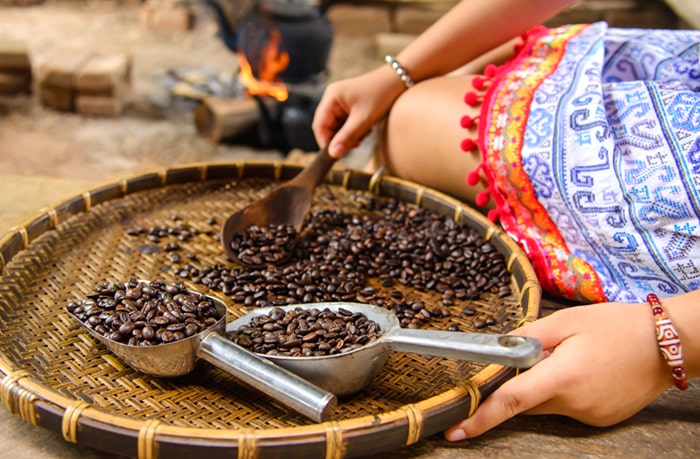 インドネシアコーヒーとは？品種・銘柄の特徴や香りの楽しみ方を紹介