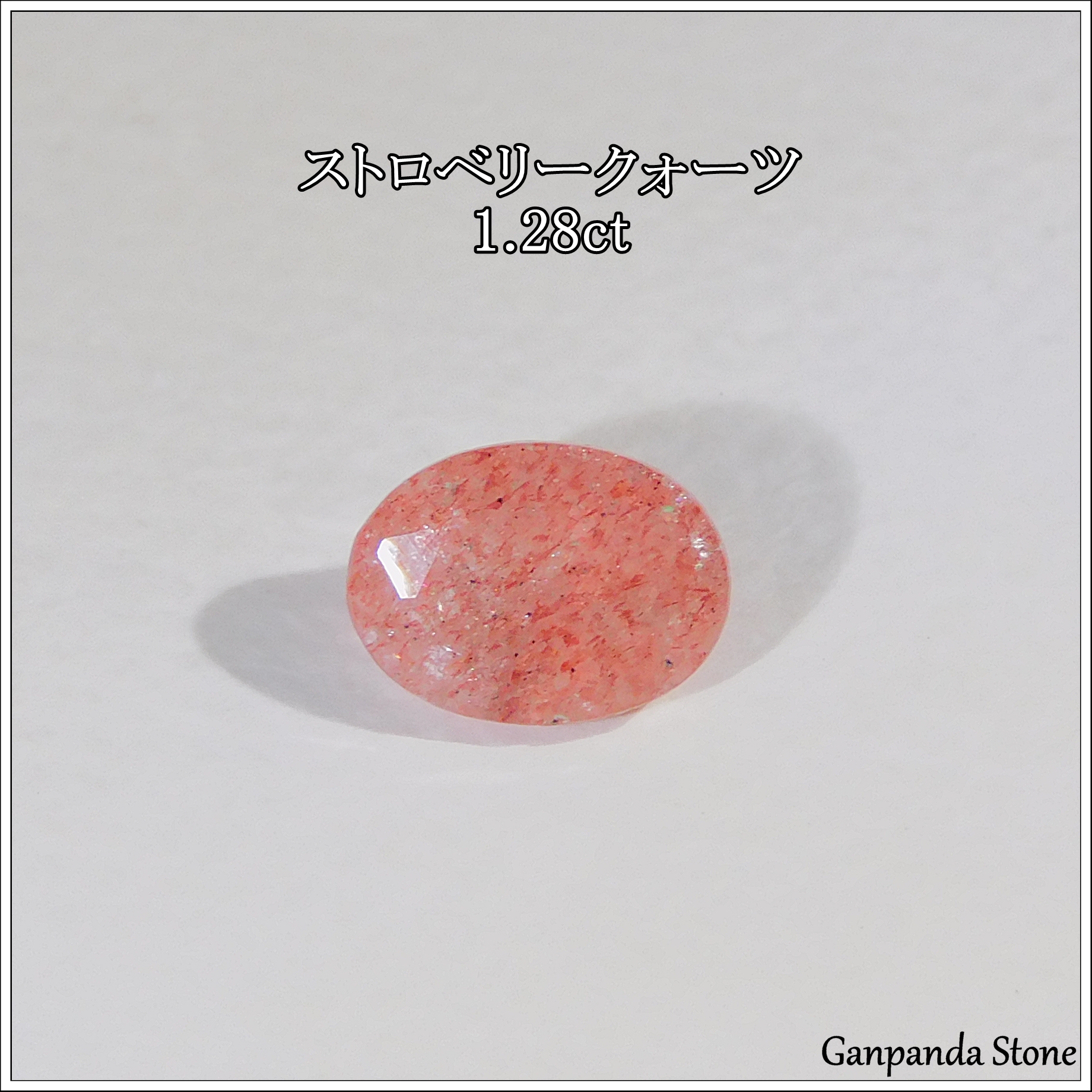 2025/11/30　販売開始商品のご紹介🐼