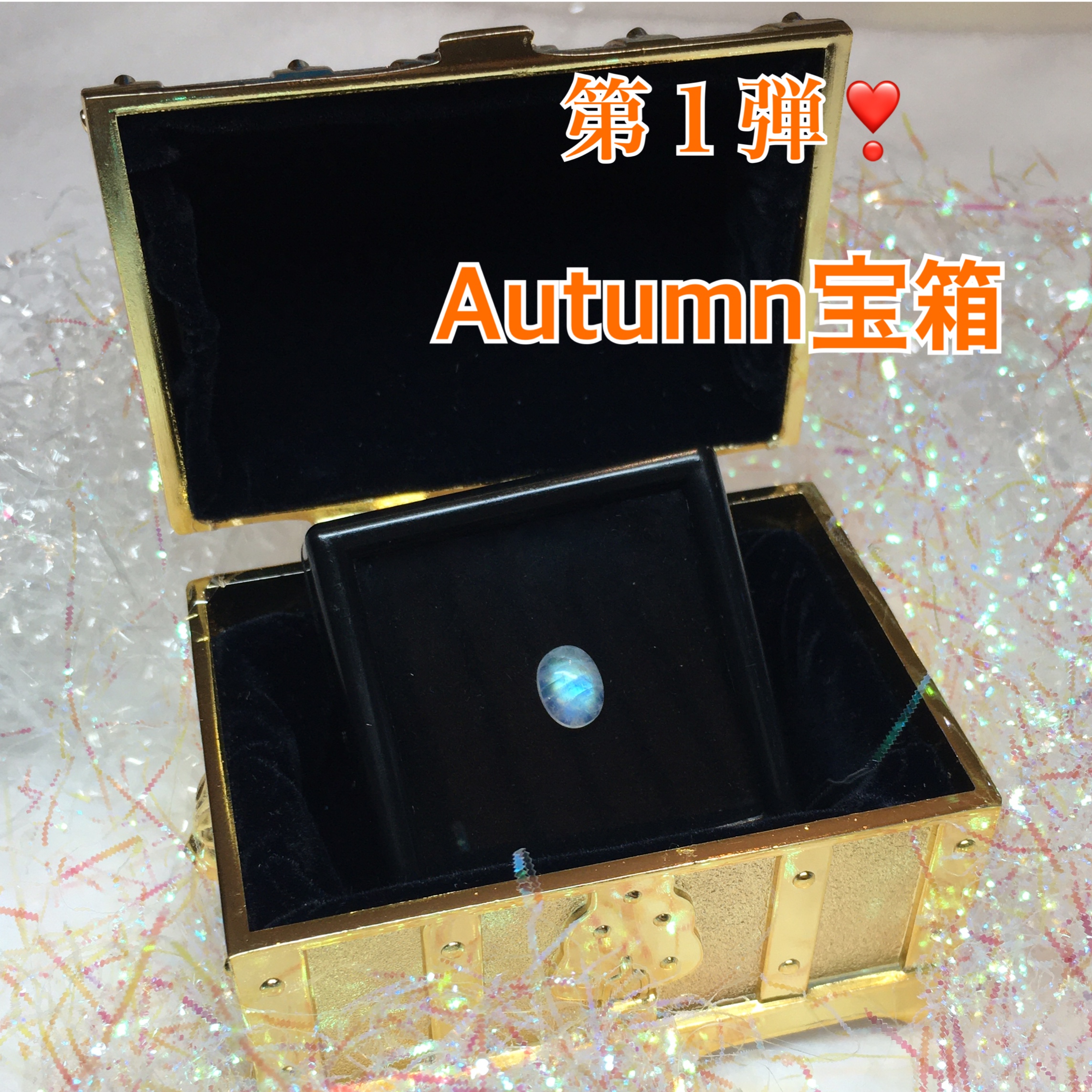 秋の感謝祭企画！【Autumn 宝箱！】week ！第１弾❣️