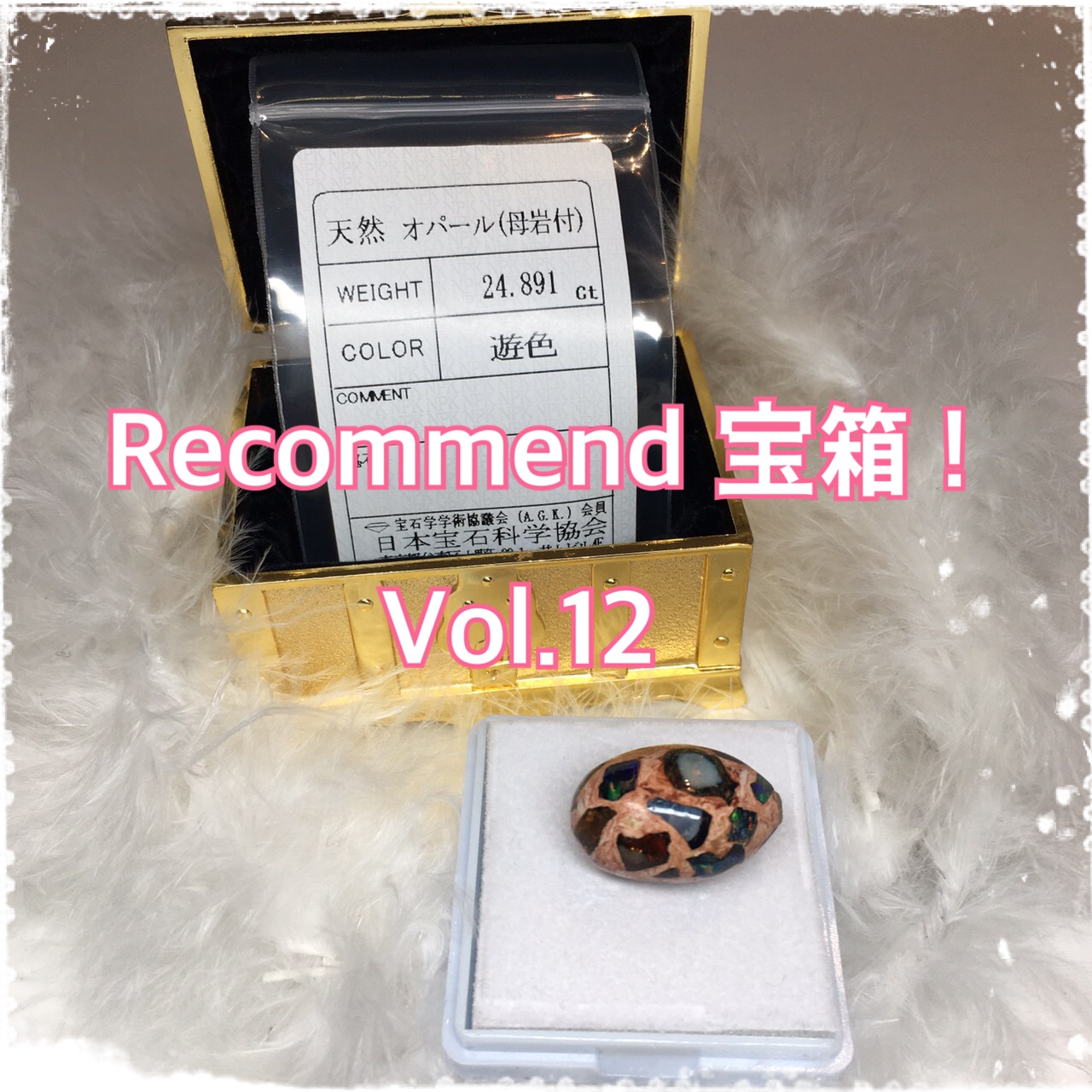 今週の【Recommend　宝箱！】Vol.12