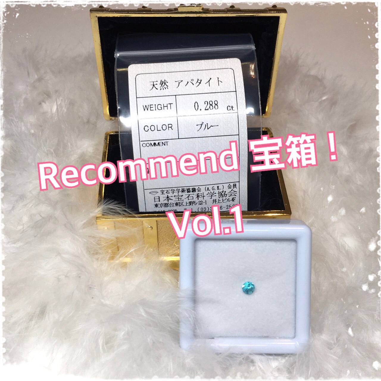 今週の【Recommend　宝箱！】Vol.1