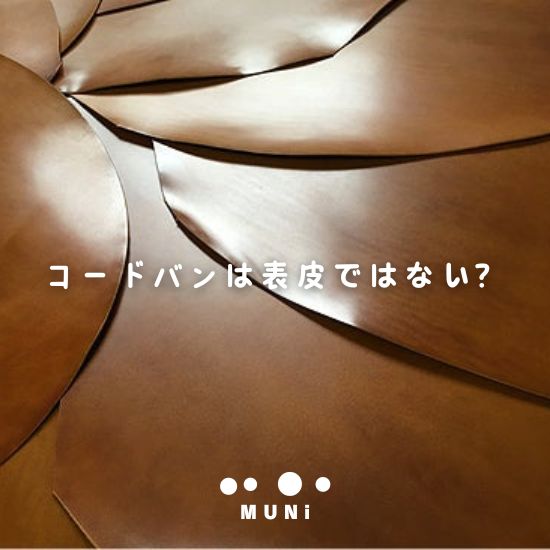 コードバンは表皮ではない？