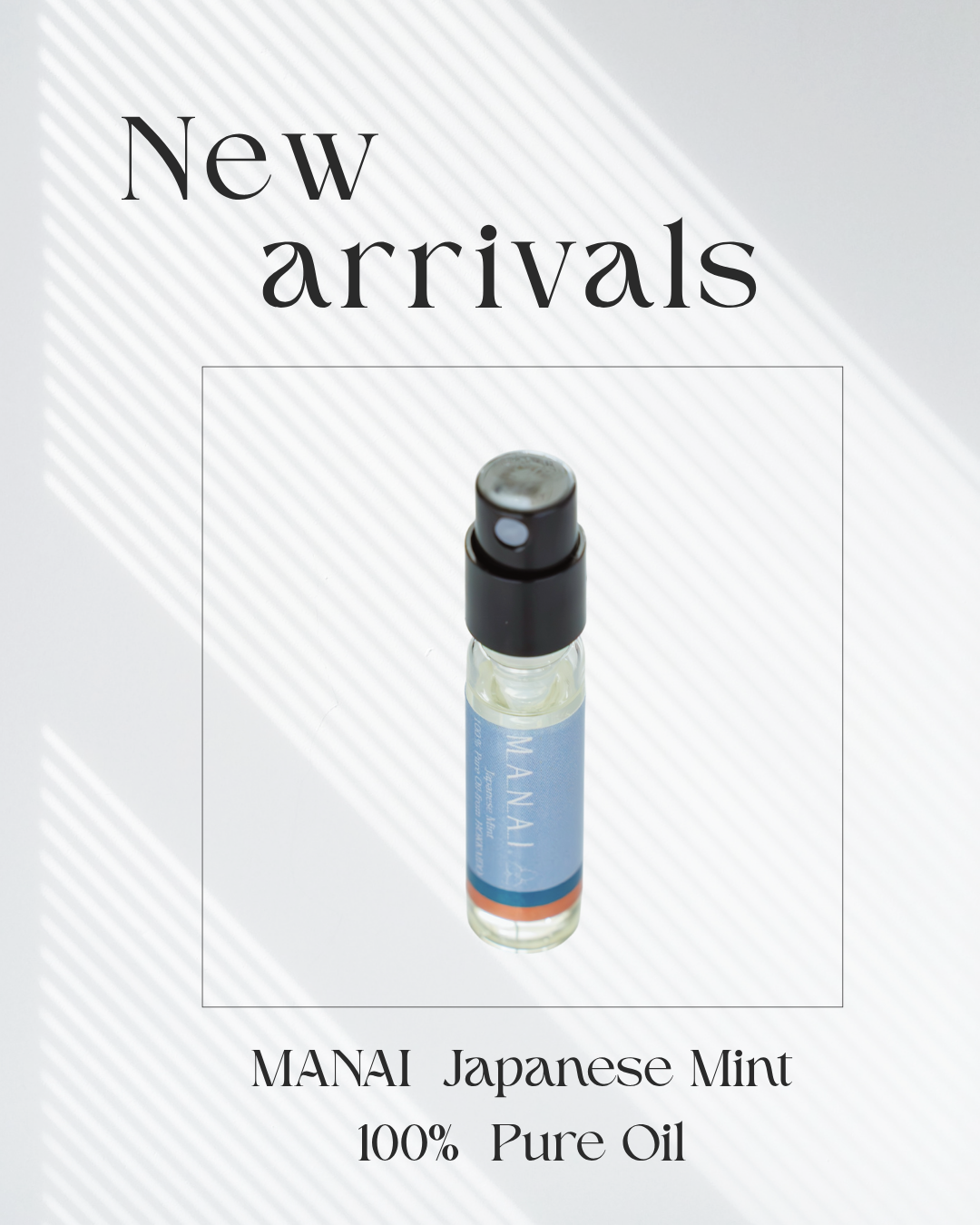 この夏の必需品アイテム、販売開始致しました