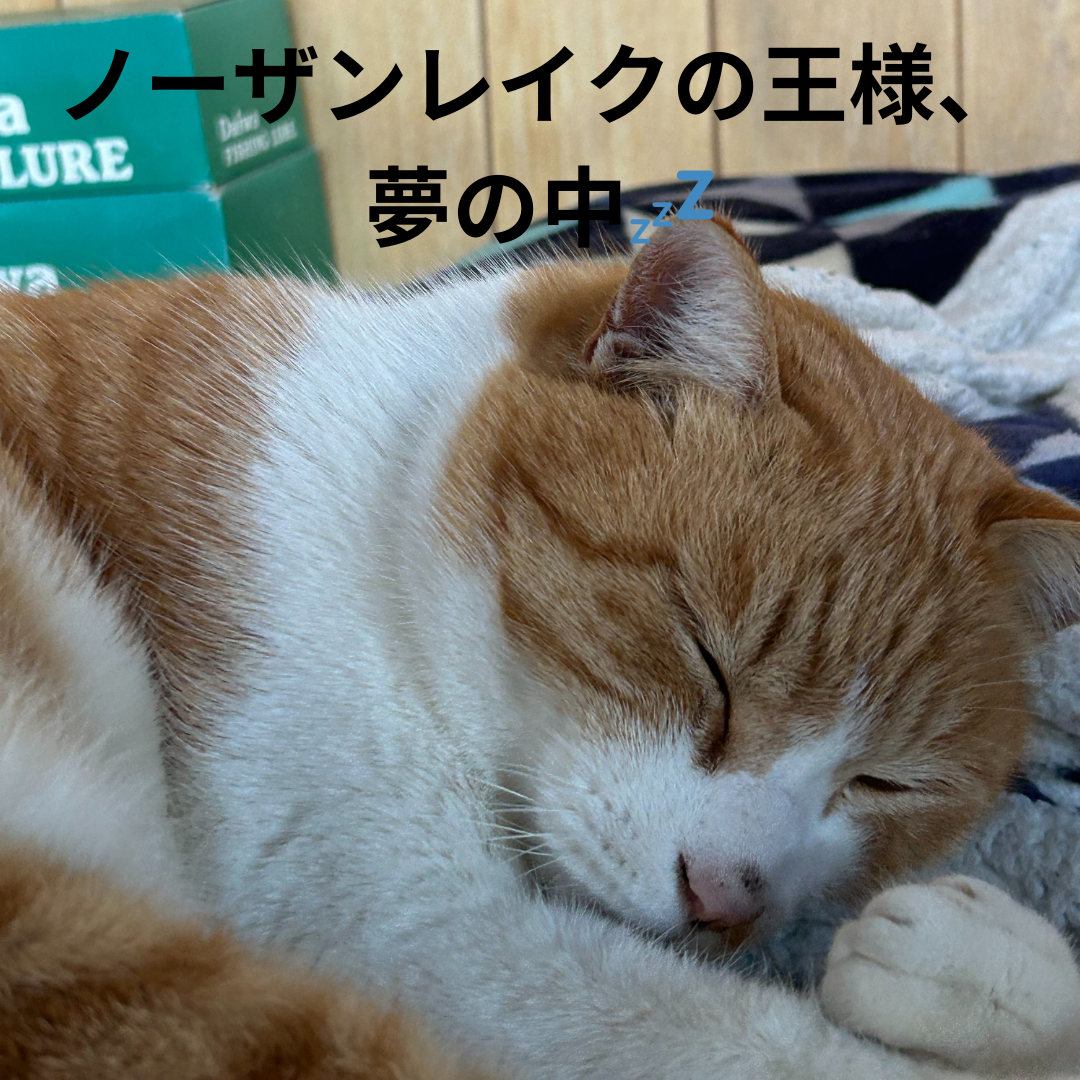 北のブランド2025認証とノーザンレイクコラボのあれこれ
