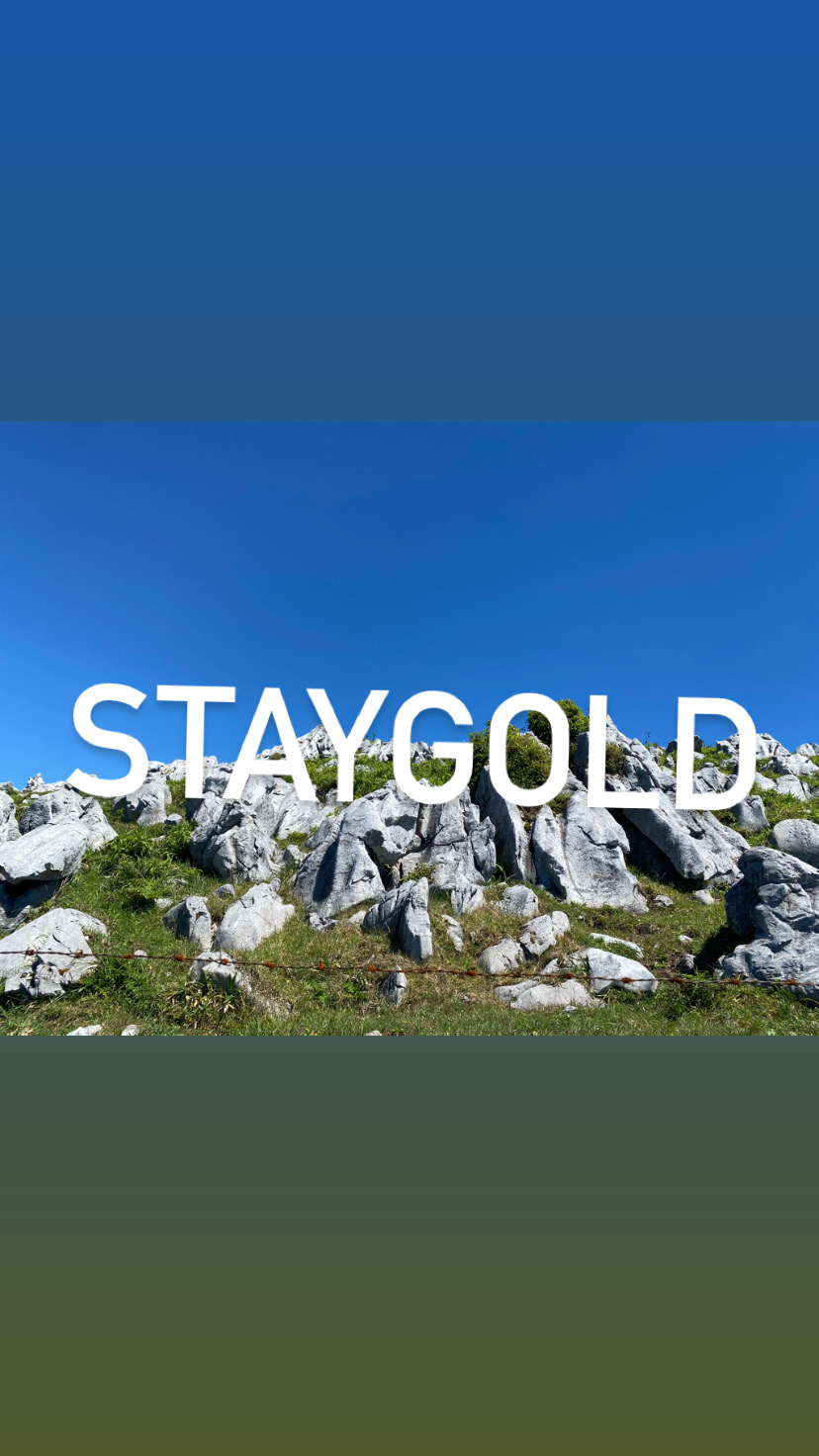 staygold
