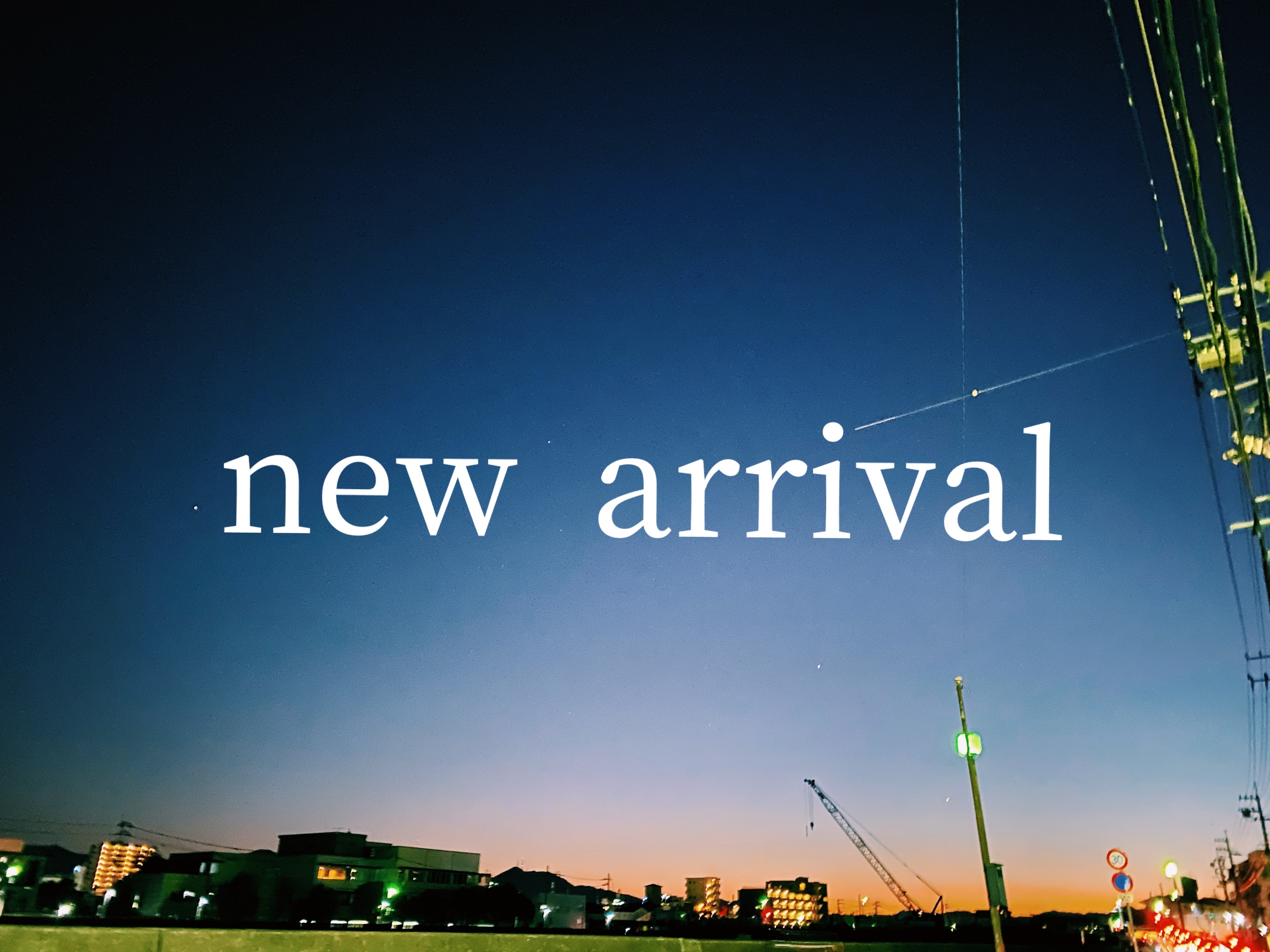 新作入荷しました