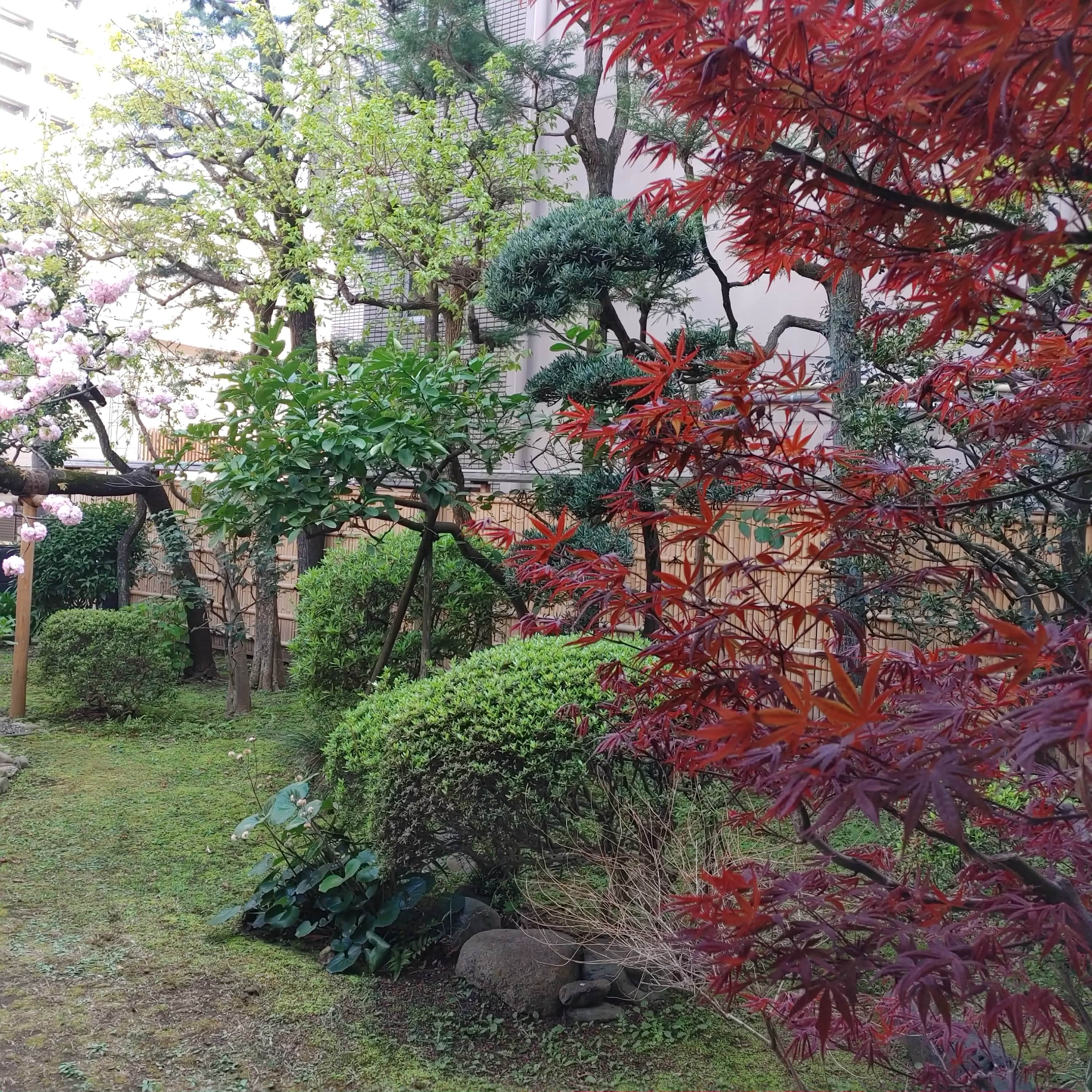 お世話になった先輩がNYに行く話