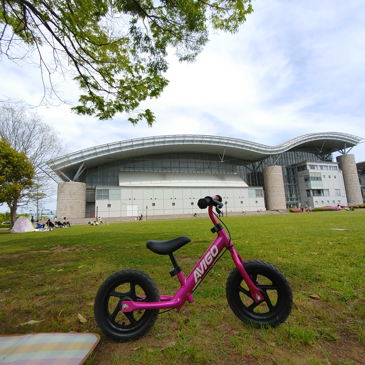 子供用にもらったストライダーで公園に行った話
