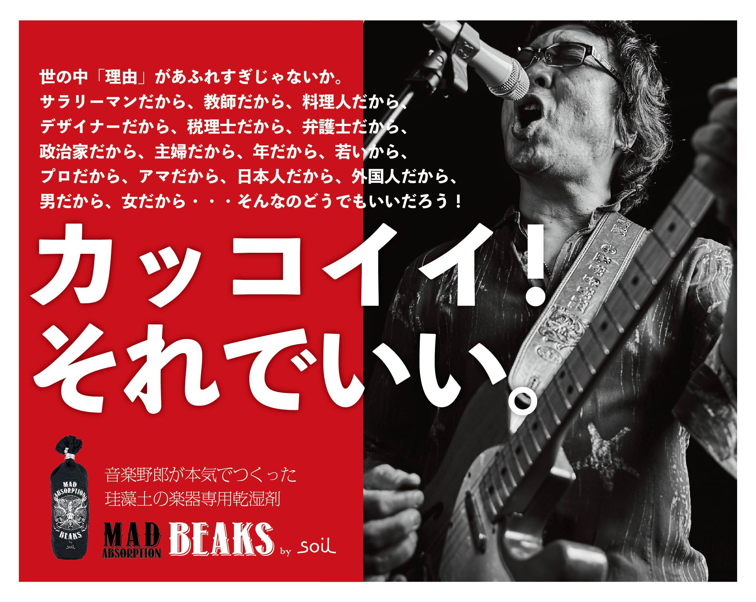 楽器専用の珪藻土乾湿剤！BEAKSが誕生！