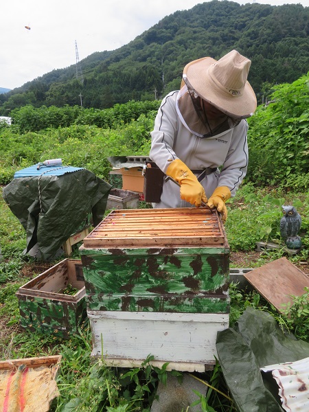 見学