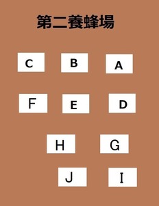 内部検査