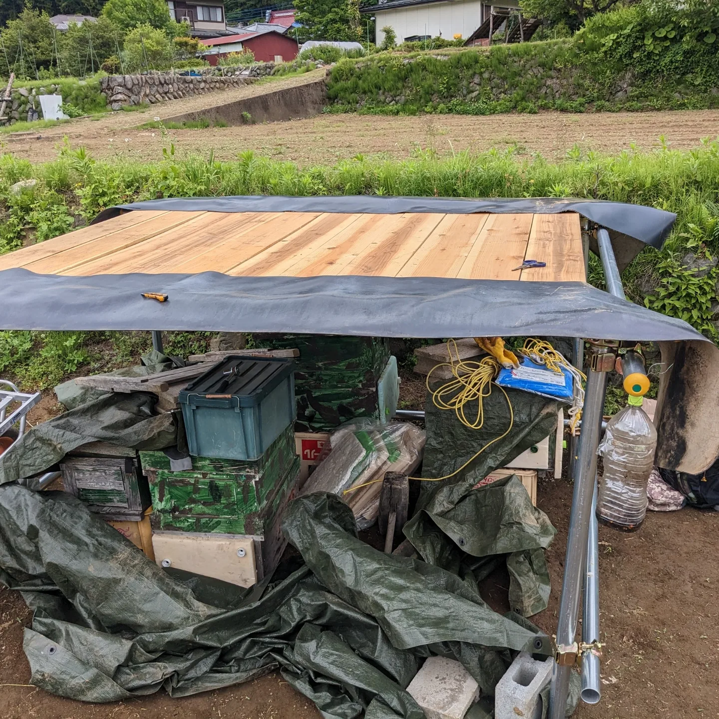 屋根