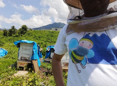 Tシャツ到着
