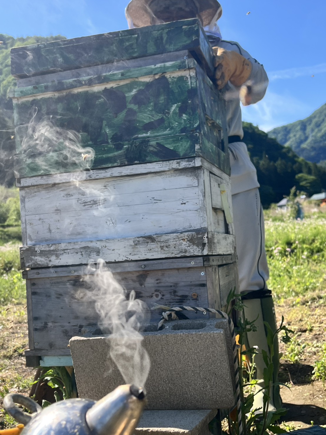 収穫