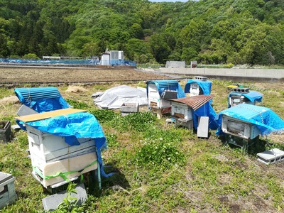 第三養蜂場