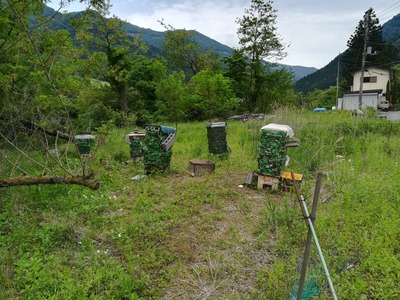 巣箱塗り