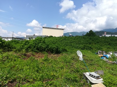 草刈り