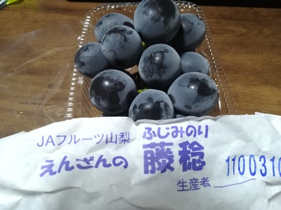 新契約