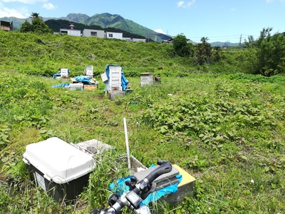 第二養蜂場の内部検査