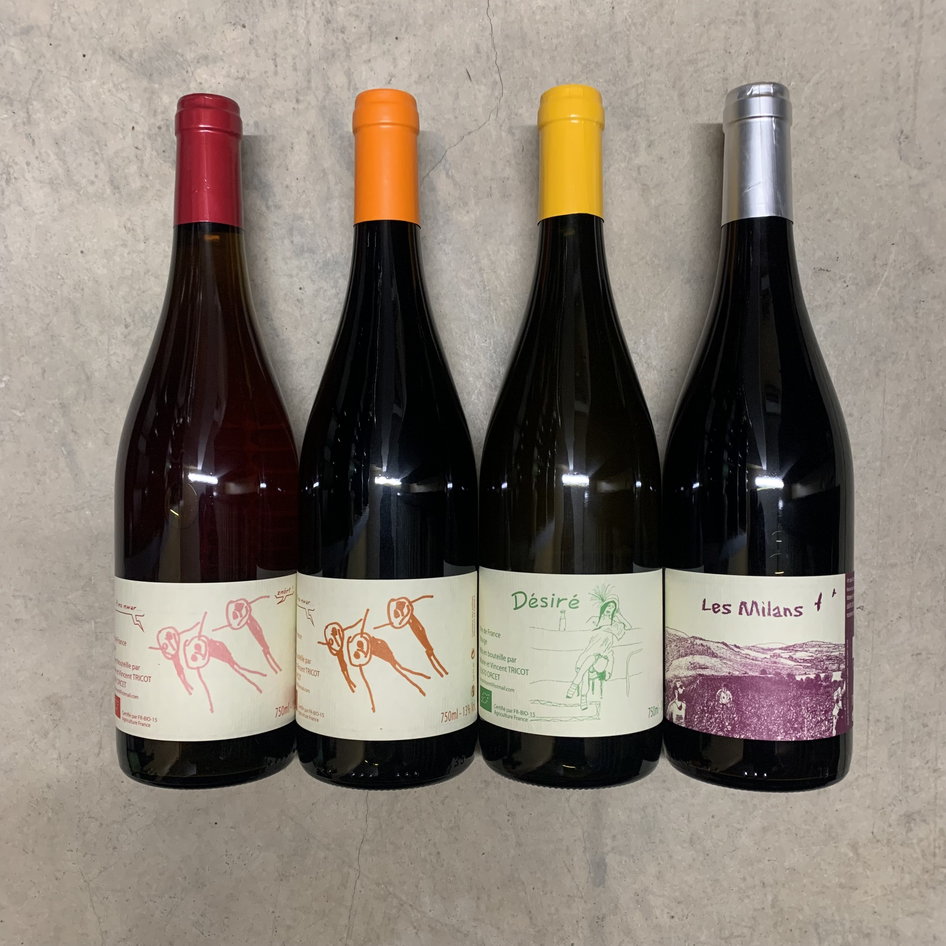 ヴァンサン・トリコ入荷!その➁